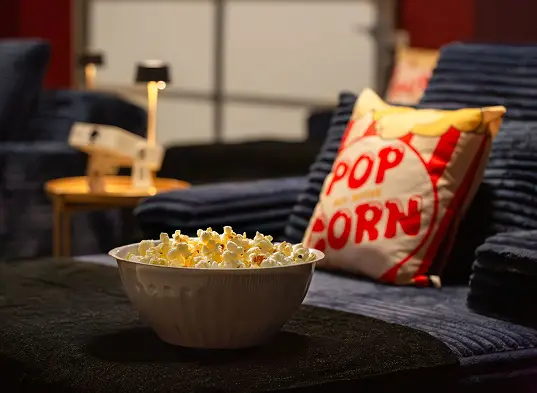 Bowl of popcorn beside a popcorn cushion on a sofa