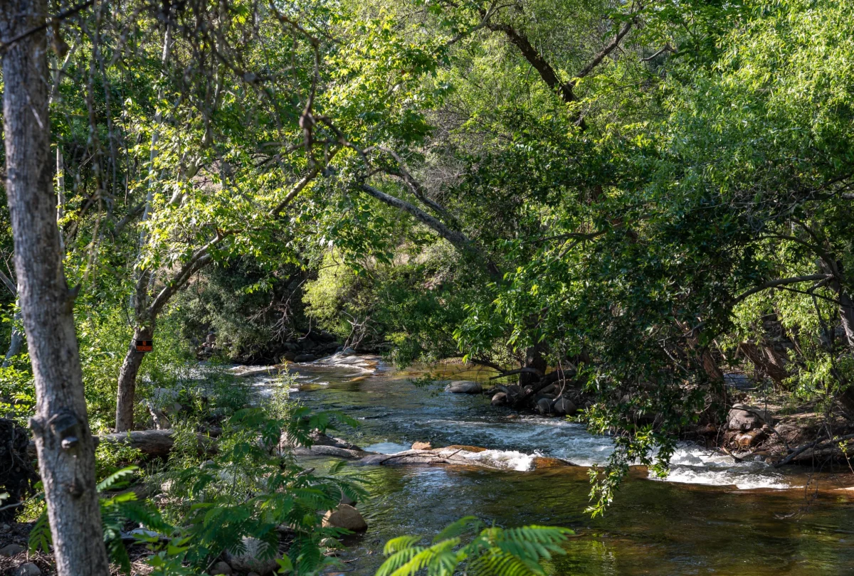 The river running through the trees beside the property