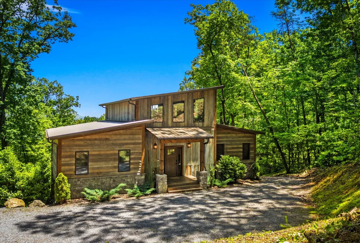 Timber-clad cabin among the spring woodland