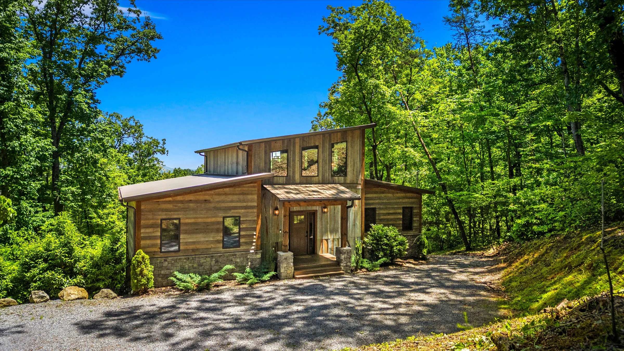 Timber-clad cabin among the spring woodland